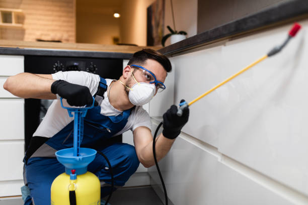 Best Affordable Pest Control Services  in Metzger, OR