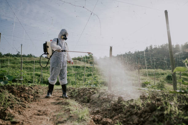 Best Termite Control Services  in Metzger, OR