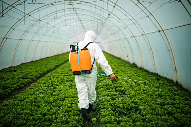 Best Pest Prevention Services  in Metzger, OR