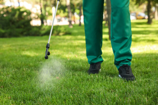 Best Local Pest Control Services  in Metzger, OR