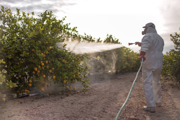Best Pest Removal Services  in Metzger, OR