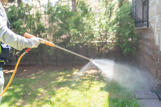 Professional Pest Control in Metzger, OR