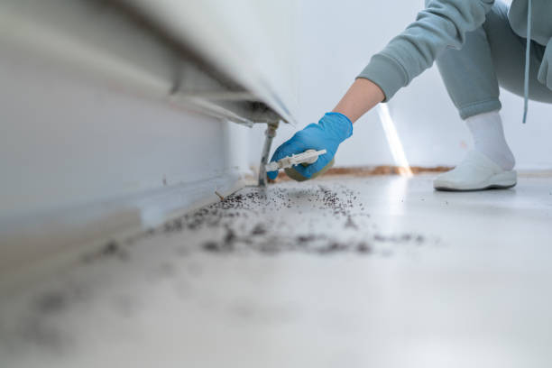 Best Exterminator Services  in Metzger, OR
