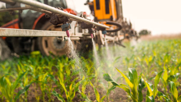 Best Commercial Pest Control Services  in Metzger, OR